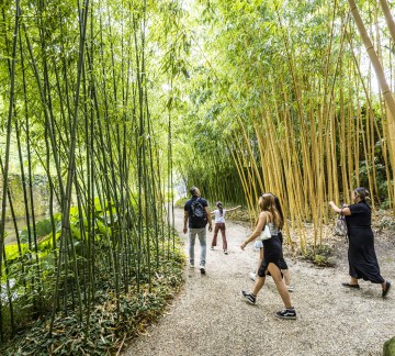 KasteeltuinenArcen_zomer (17).jpg