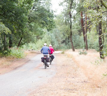 Fietsen in het bos.jpg