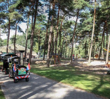 Waldbahn