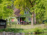 Bosgalow groen huisje