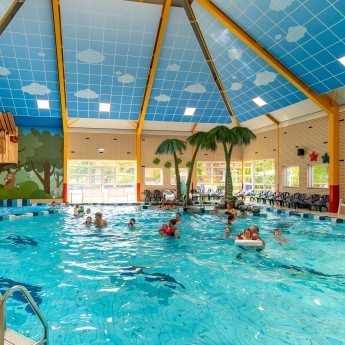 Zwembad gasten heldense bossen