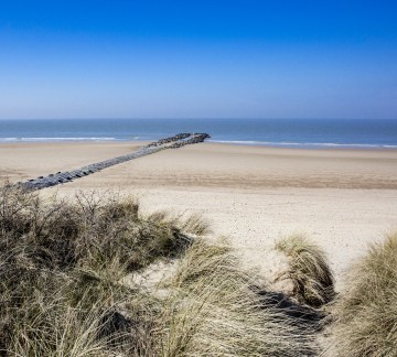 Zwin - Depositphoto .jpg