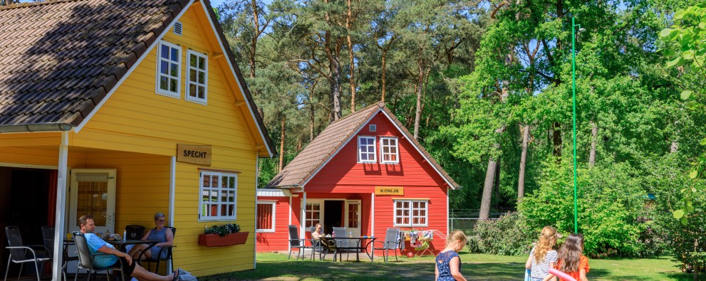Heldense Bossen - LimburgCover optie 1 .jpg