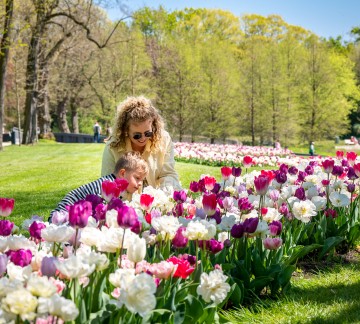 KasteeltuinenArcen_lente (23).jpg