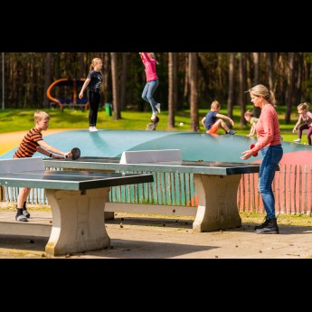 Tafeltennis heldense bossen