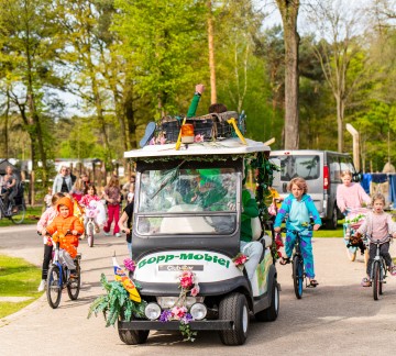 Bostreintje