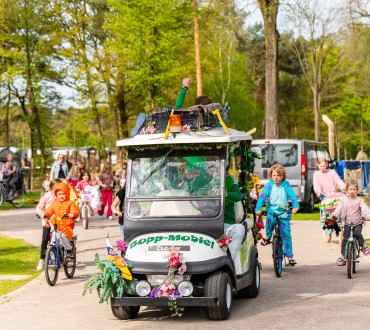 Bostreintje