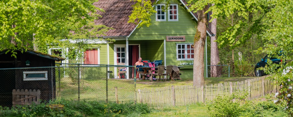 Bosgalow groen huisje