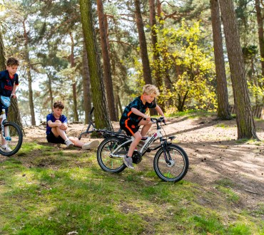 Fietsen op Heldense Bossen