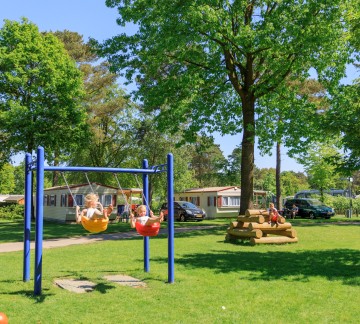 Schommel Camping De Heldense Bossen