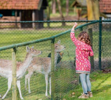 Kinderboerderij