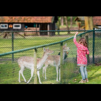 Kinderboerderij