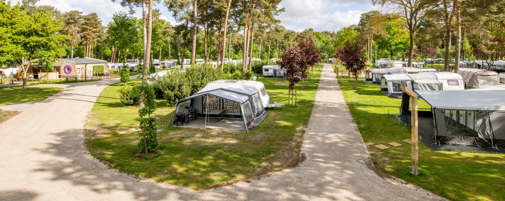 Kamperen bij De Heldense Bossen
