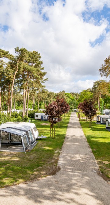 Kamperen bij De Heldense Bossen