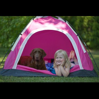 Hondencamping de heldense bossen