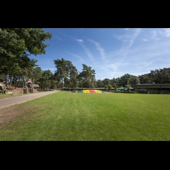 Header sport.jpg
