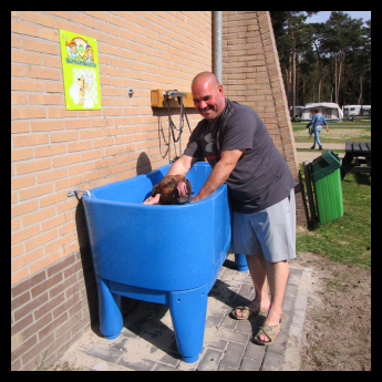 Hondendouche met hond