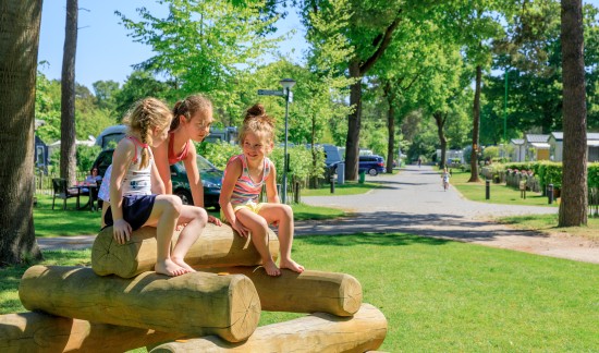 Camping bij Roermond- kamperen.jpg