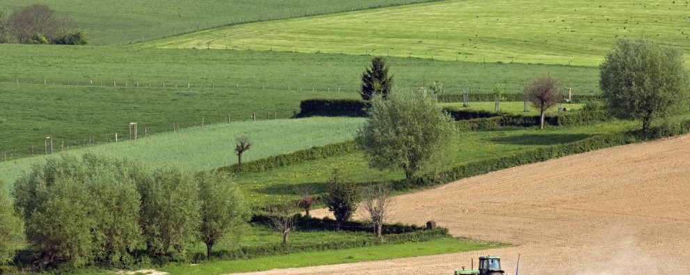Limburg - algemeen