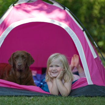 Hondencamping de heldense bossen