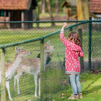 Kinderboerderij